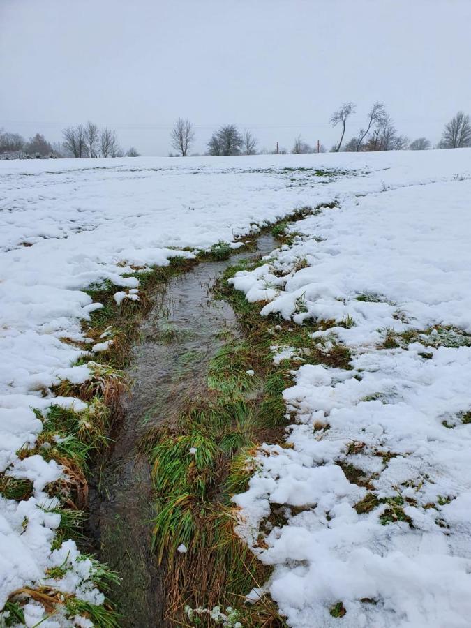 Hemels Paradijs In La Roche En Ardenne Te Cielle Kültér fotó